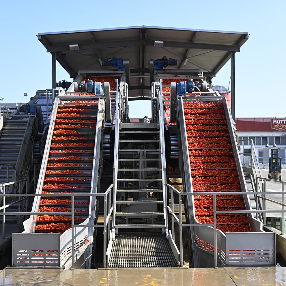 ביקור במפעל mutti